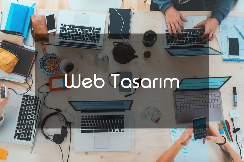 Web Tasarım Hizmeti