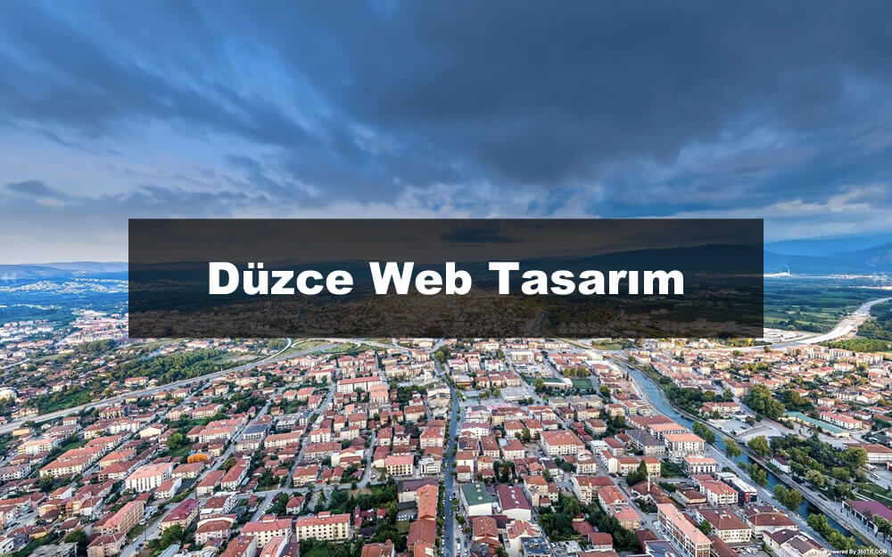 Düzce bölgesinde web tasarımı hizmeti