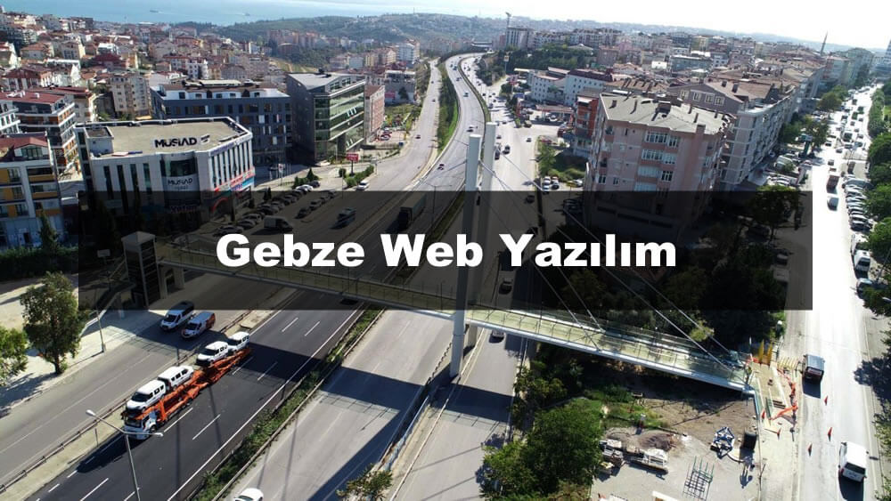 Gebze web yazılım hizmeti