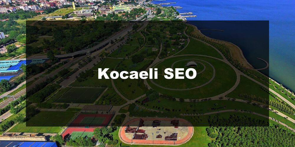 Kocaeli SEO hizmeti