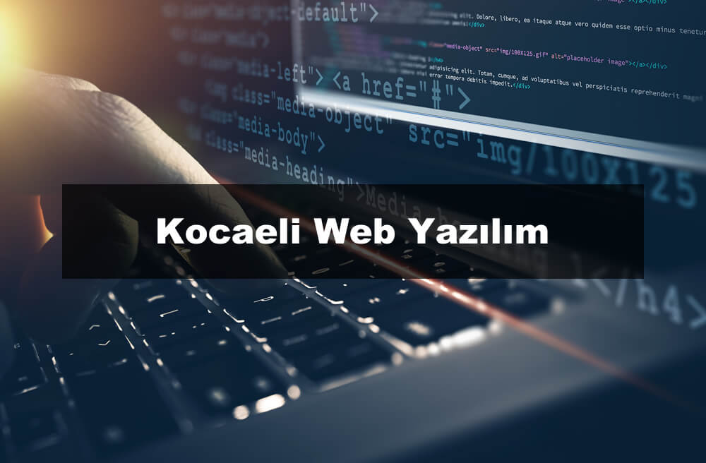 Kocaeli Web Yazılım hizmeti