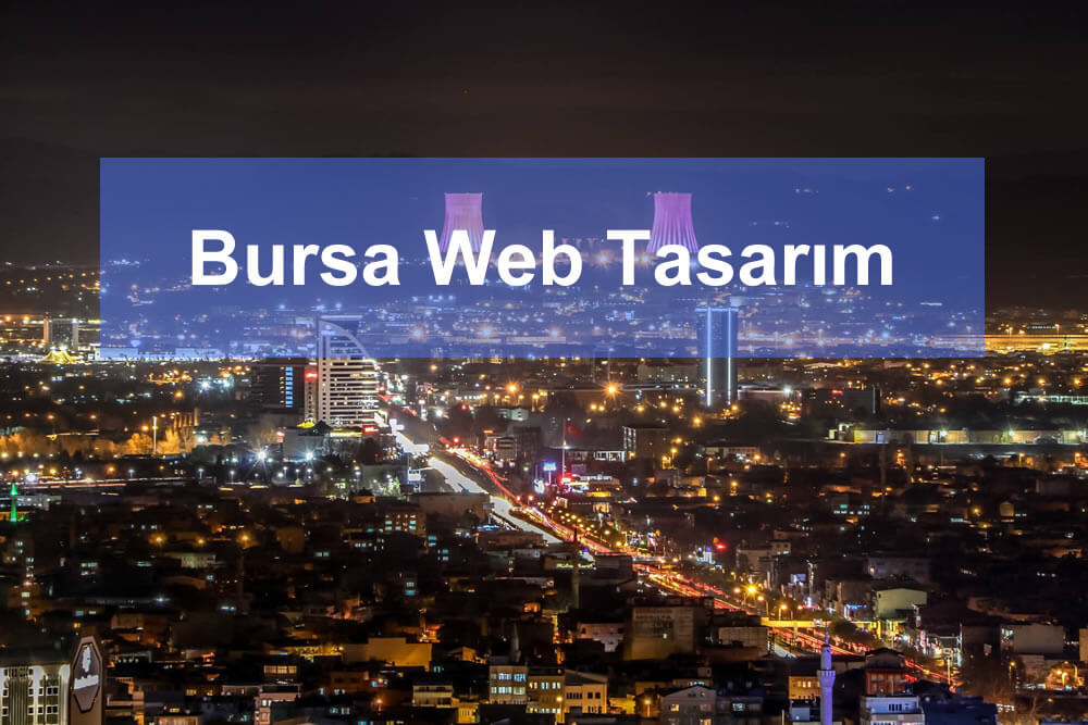 Bursa web tasarım hizmeti