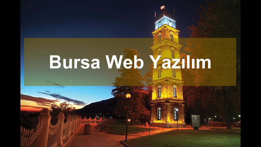 Bursa web yazılım hizmeti